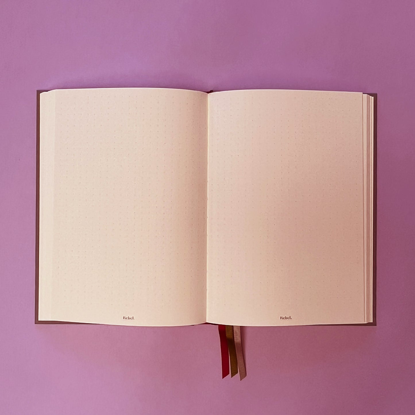 Rebel Stationery's Winning Diary in Oyster