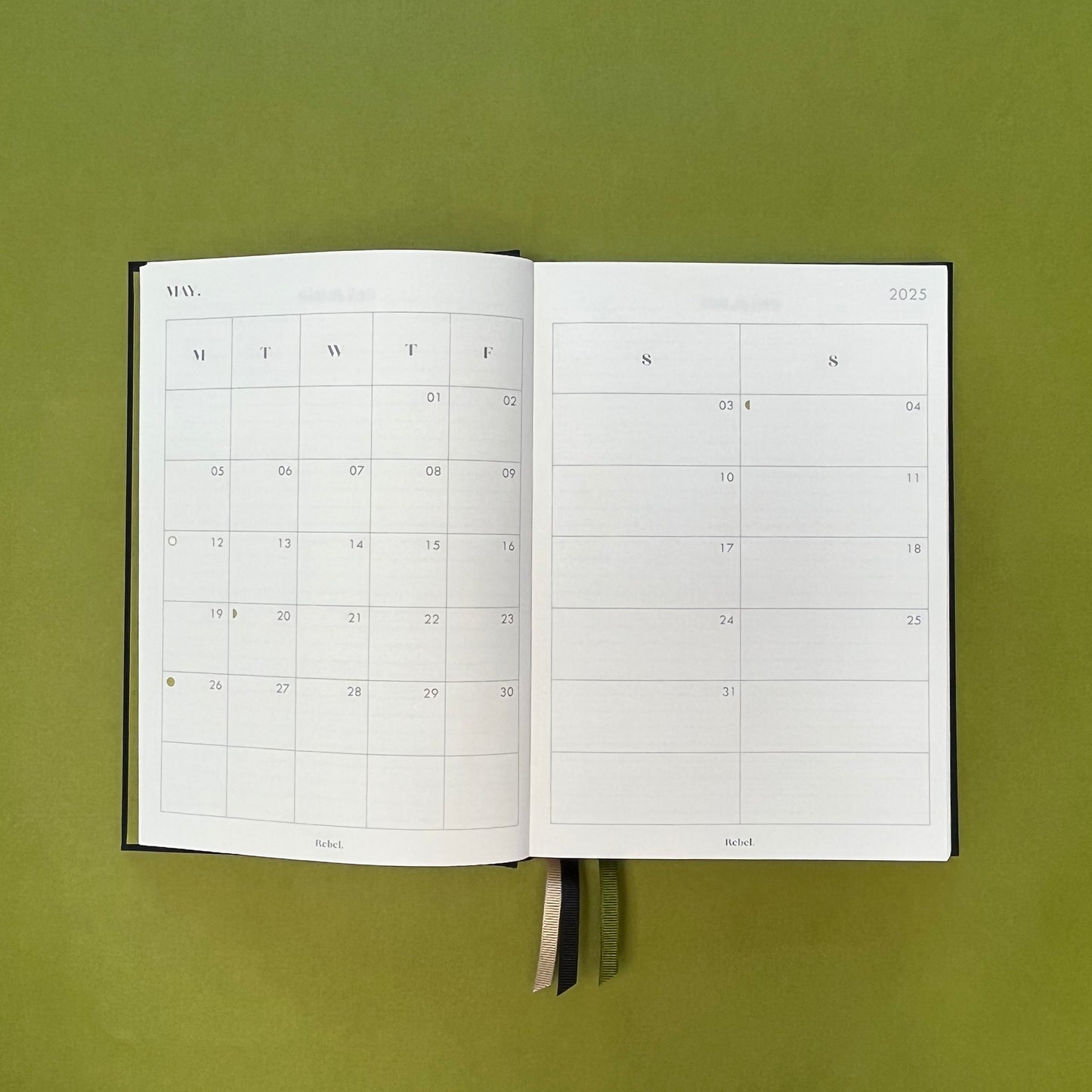 Planner spread of Rebel Stationery's Signature diary in Ink on green background