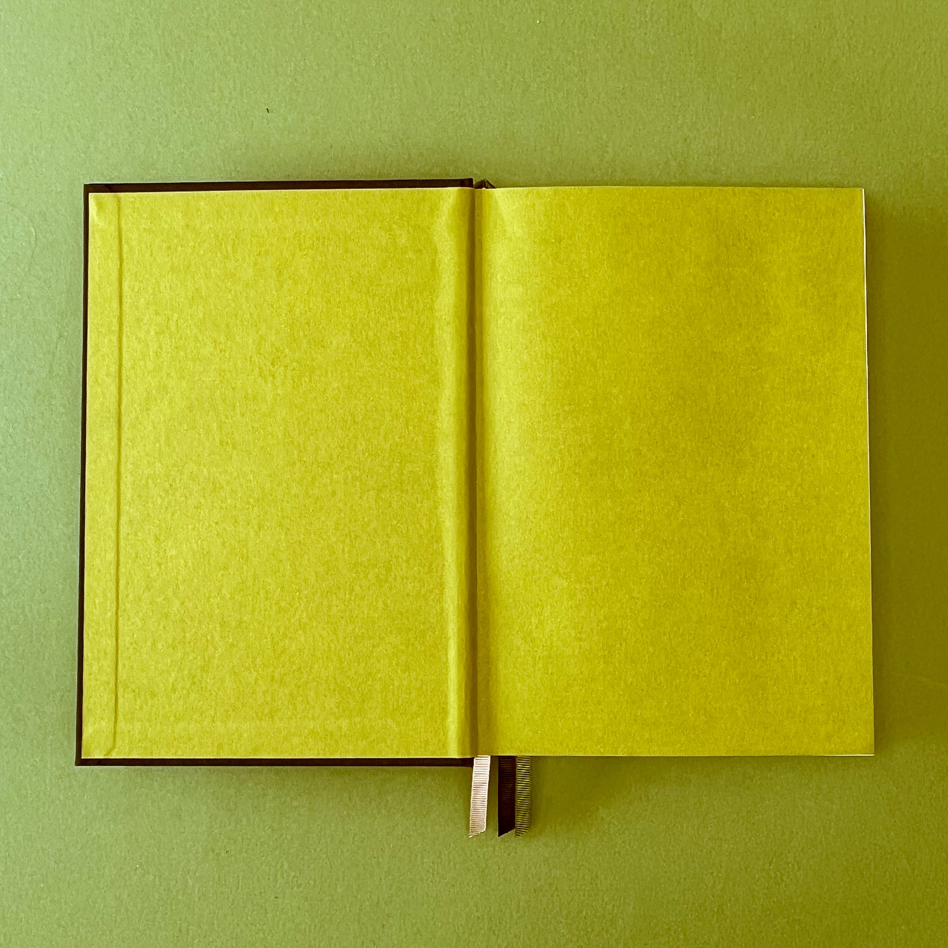 Green endpaper of Rebel Stationery's Signature notebook in Ink on green background