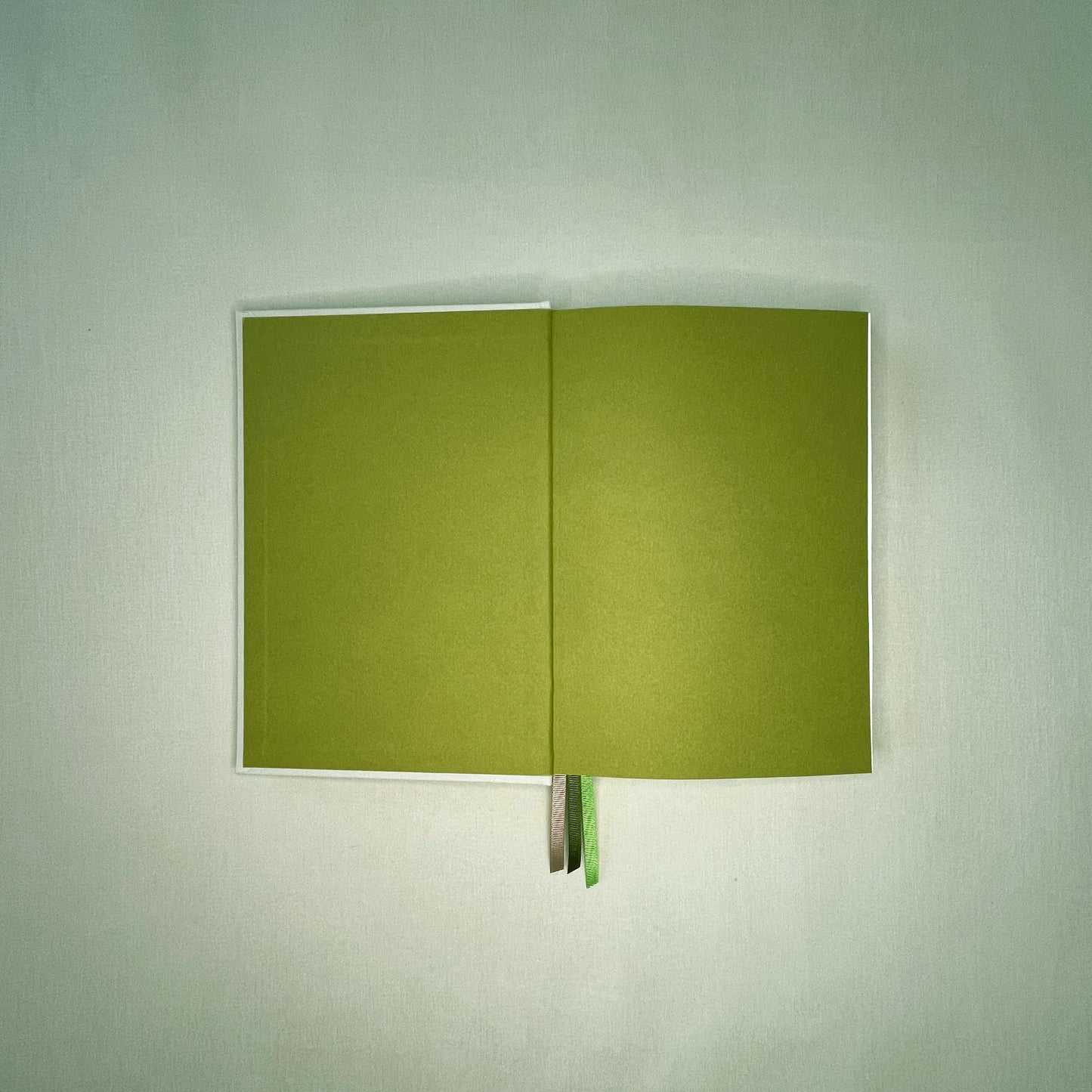 A5 Signature Diary 2026 - Pistachio