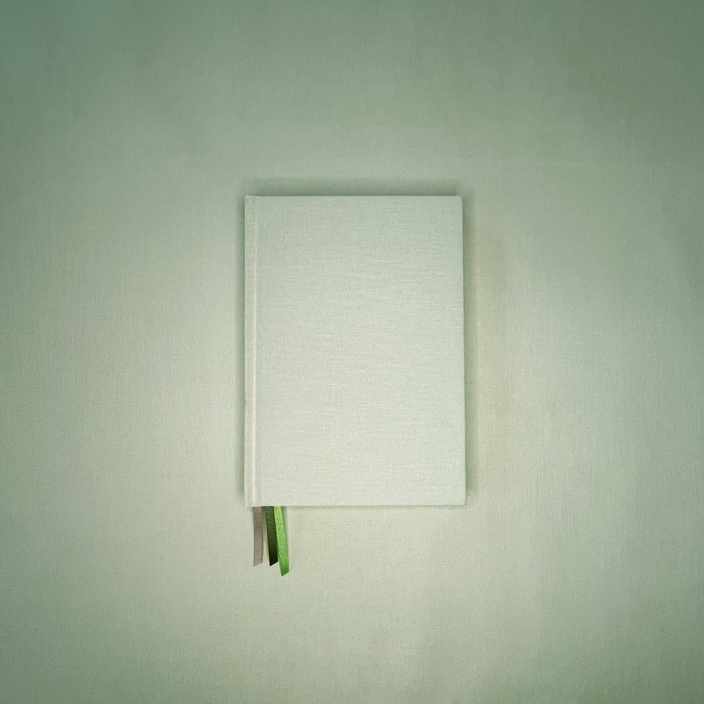 A5 Signature Diary 2026 - Pistachio