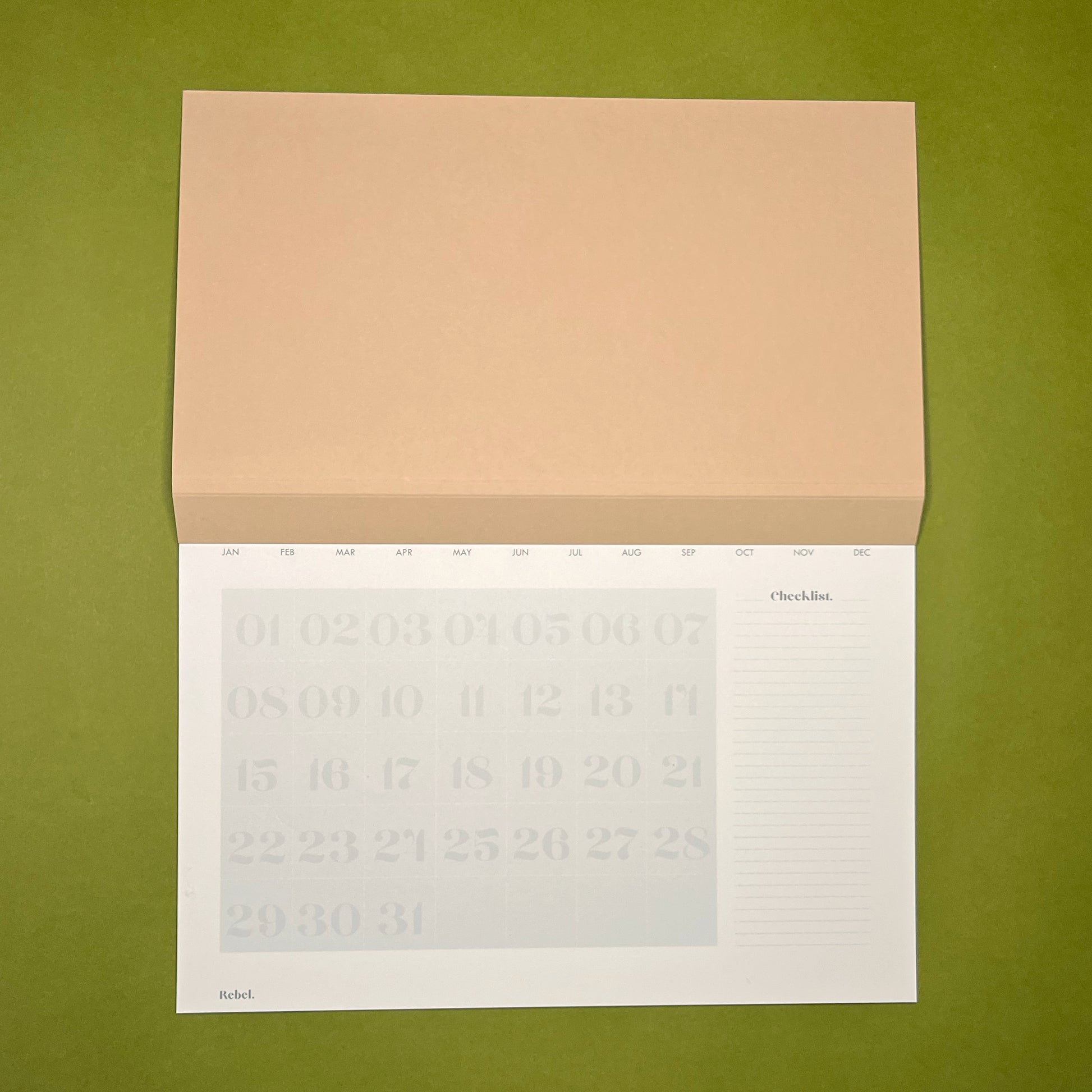 Open shot of Rebel Stationery's Monthly Desk Planner in Stone on a green background